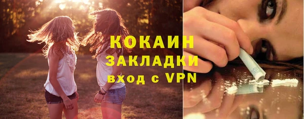 кокс Богородицк