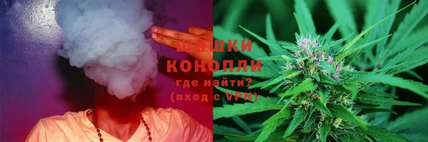 мдпв Богданович