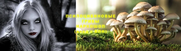 mdpv Бугульма