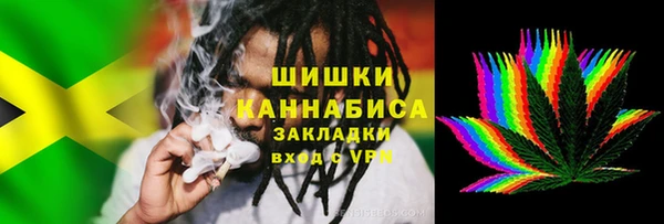 мдпв Богданович