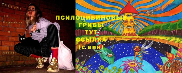прущий лед Богородск
