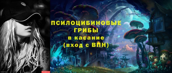 мдпв Богданович