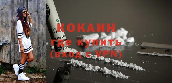 кокс Богородицк
